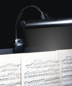 Musician Lights